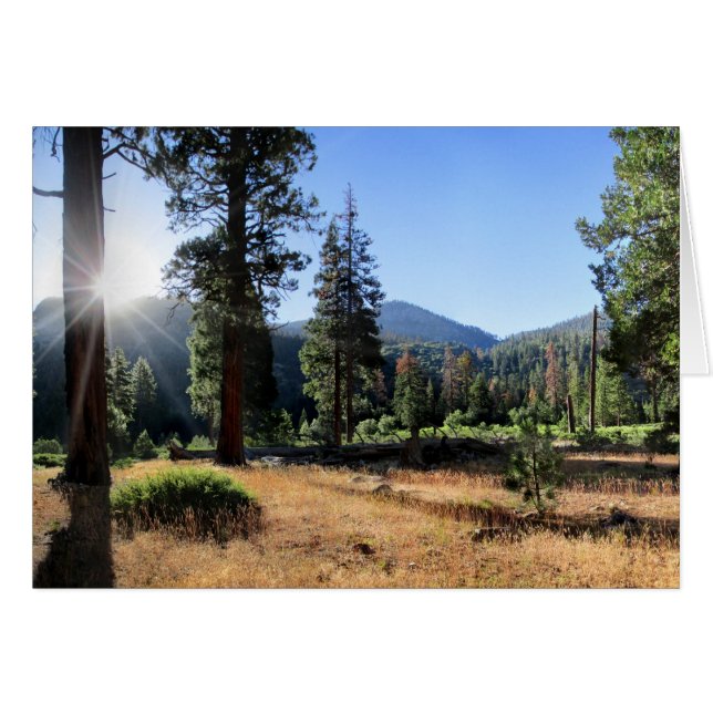 Cartão Simpson Meadow - Sierra (Frente Horizontal)