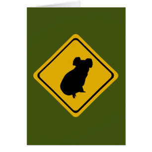 Cartão sinal de estrada do koala