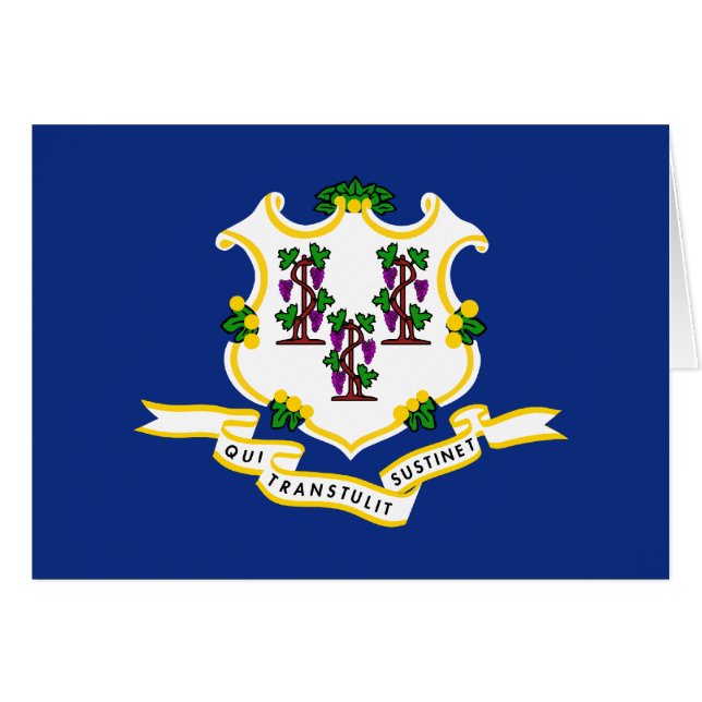 Cartão Sinalizador do Connecticut (Frente Horizontal)