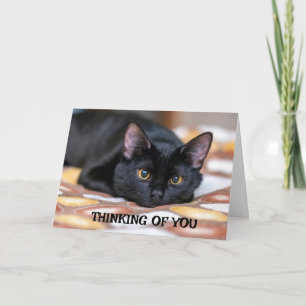 CARTÃO *SINCERAMENTE DESCULPE PELA SUA PERDA*