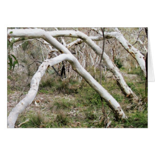 Cartão Sincronicidade