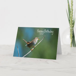 Cartão Singing wren greeting card