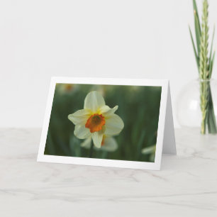 Cartão Single Daffodil Folded Blank Greeting Card
