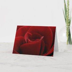 Cartão Single Red Rose Card