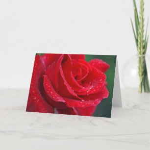 Cartão Single red rose print greeting card
