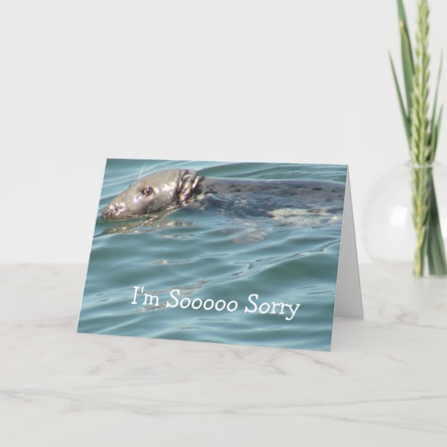 Cartão Sinto muito, Card (Frente)