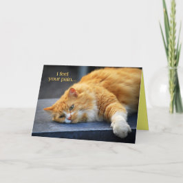 Cartão Sinto Sua Dor — Sinta Puro Fato Em Breve Gato Lara