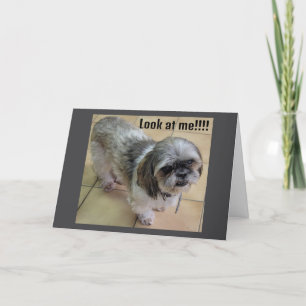 CARTÃO "SINTO SUA FALTA NO DIA DE AÇÃO DE GRAÇAS"