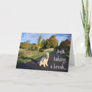 CARTÃO **SIS** FAZENDO UMA QUEBRA PARA DIZER "ANIVERSÁRIO