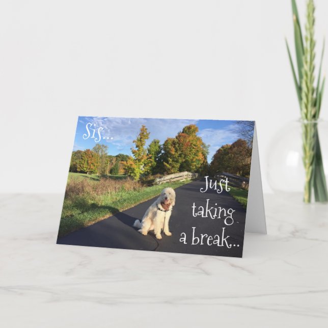 CARTÃO **SIS** FAZENDO UMA QUEBRA PARA DIZER "ANIVERSÁRIO (Frente)