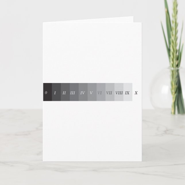 Cartão Sistema da zona (Frente)