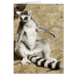 Cartão Sitting Ringtail Lemur