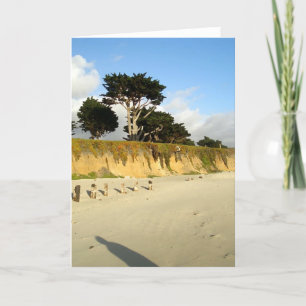 Cartão Six Posts and a Shadow