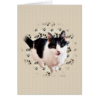 Cartão Sketch de Gatos Digitais