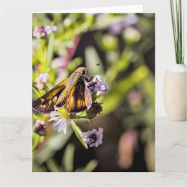 Cartão Skipper Butterfly