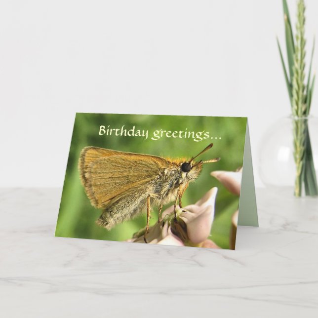 Cartão Skipper no aniversário de Milkweed (Frente)