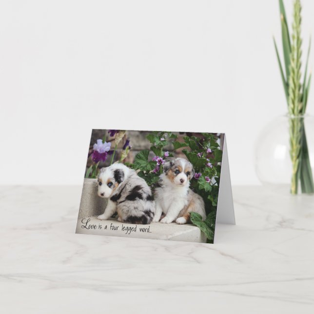 Cartão Sky Blue Aussis Notecard Puppies 1 (Frente)