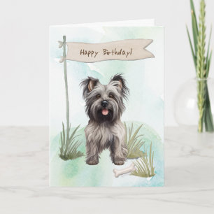 Cartão Skye Terrier Dog Breed Sob Sinal De Aniversário