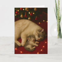 Sleeping Cats Christmas Folded Greeting