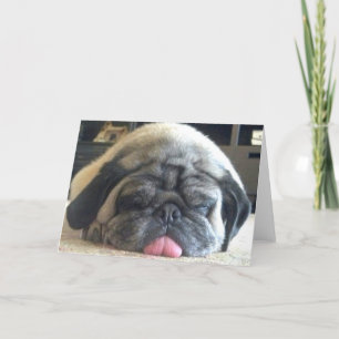 Cartão sleeping pug notecard