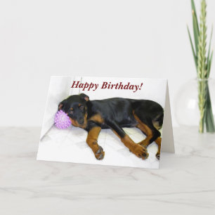 Cartão Sleepy Heidi e Ball Birthday Card