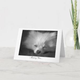 Cartão Sleepy Puppy - Missing You