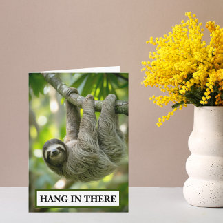 Cartão Sloth Hang In There Encouragement