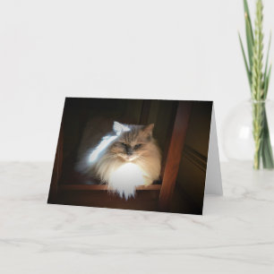 Cartão Slow Days, card