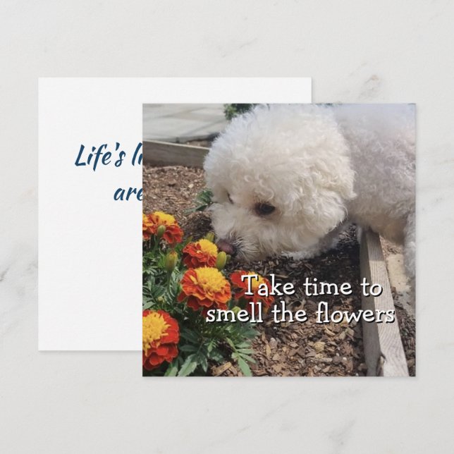 Cartão Smell the Flowers (Frente/Verso)