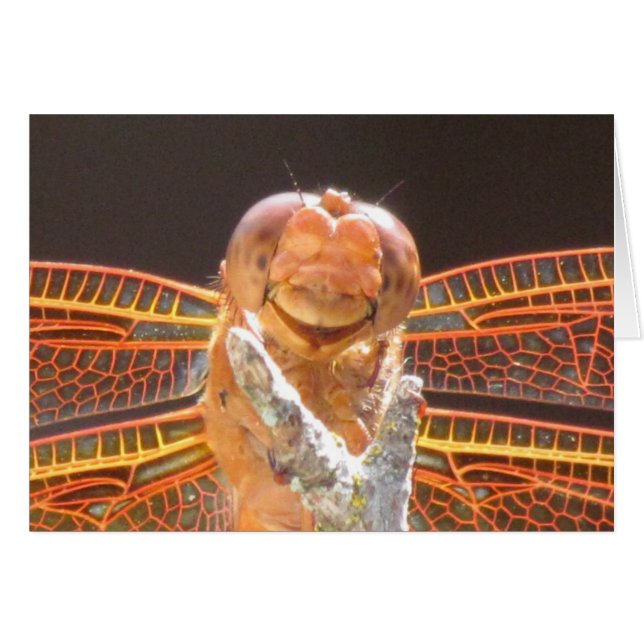 Cartão Smiler (Frente Horizontal)