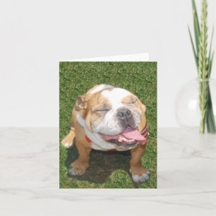 Cartão Smiling Bulldog