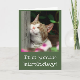 Cartão Smiling Cat Birthday Card
