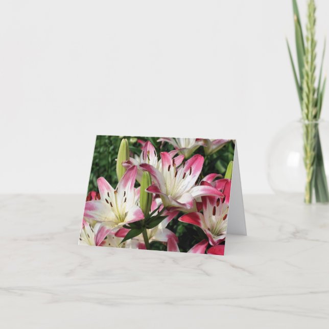 Cartão Smiling Lilies Flower Photography Note (Frente)