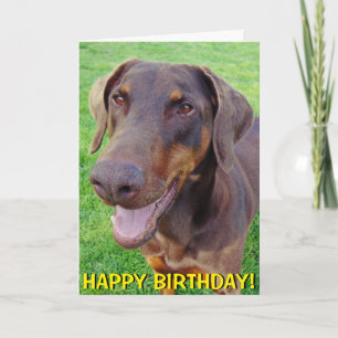 Cartão Smiling red dobermann birthday card