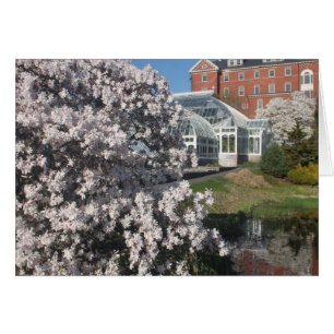 Cartão Smith College Lyman Plant House em Primavera