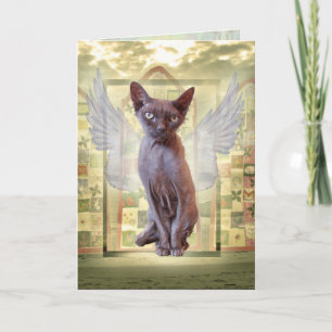 Cartão Smoke Devon Rex Sphynx Angel Cat Pet Simpatia