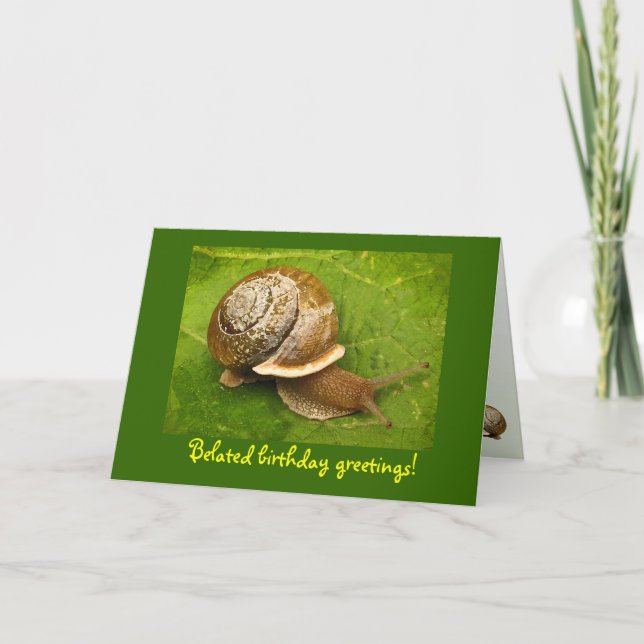 Cartão Snail Belat Birthday (Frente)