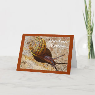 Cartão Snail mail belated birthday