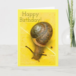 Cartão Snail mail card