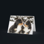 Cartão Sniff dos fantoches do cão de montanha de Bernese<br><div class="desc">Os fantoches nevado do cão de montanha bernese sniff cada outro</div>