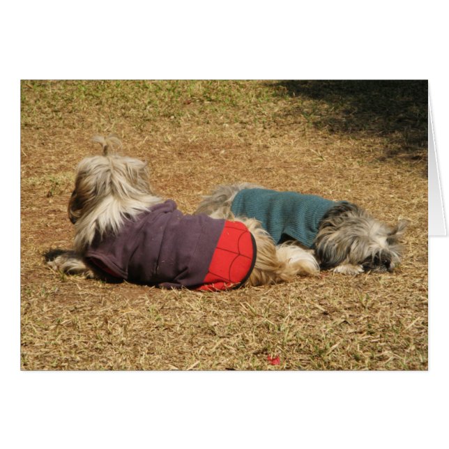 Cartão Snoozing em Nong Khai (Frente Horizontal)