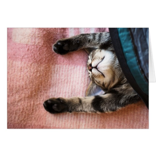 Cartão Snoozing Kitten (Frente Horizontal)