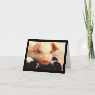 Cartão Snout adorável da cara do porco do leitão