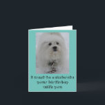 Cartão Snow Angels Coton Funny Birthday Card<br><div class="desc">Say Happy Birthday to a friend or loved one with a winter birthday. On the cover is a white Coton dog. Make long distance snow angels to celebrate!</div>