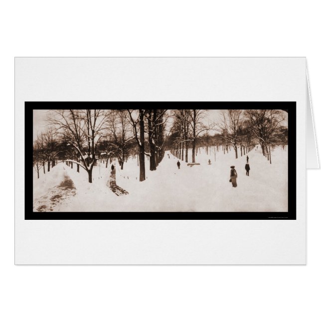 Cartão Snow Boston Common, MÃE Photo 1904 (Frente Horizontal)
