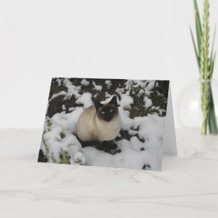 Cartão Snow Cat