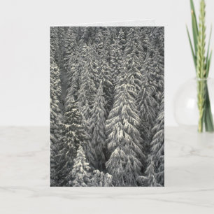 Cartão Snow-covered pine trees