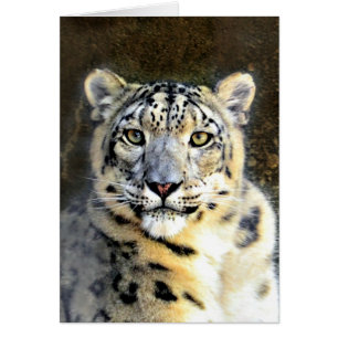 Cartão Snow Leopard