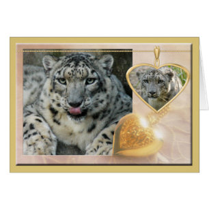 Cartão snow-leopard-00457