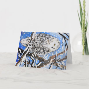 Cartão Snow Owl